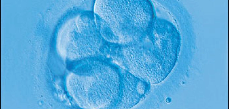 "Mamy nie tylko unikalną szansę czynić dobro, ale robimy to bez deptania czyichkolwiek zasad etycznych" 