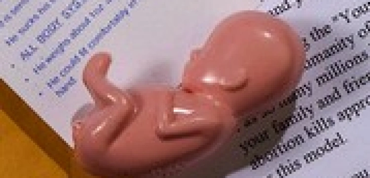 Rosja walczy z zapaścią demograficzną. Ograniczy aborcję? 