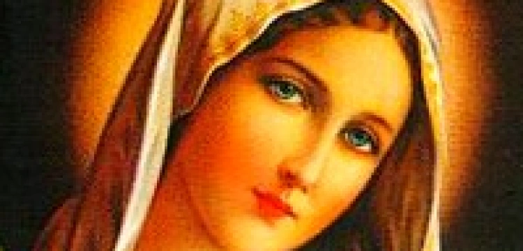 Homoseksualiści zrobili kalendarz ze świętymi. Obsesja?