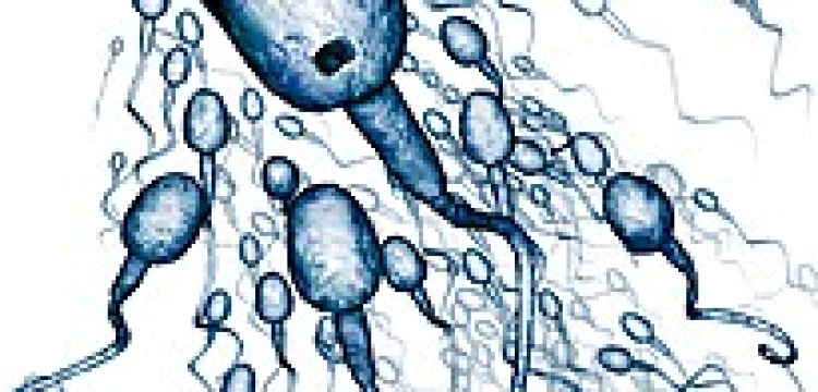 Załóż gumkę, bo spłodzisz Hitlera