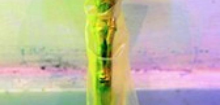 Neapol nie boi się pseudoartystów