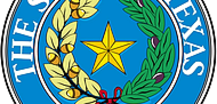 Kontrrewolucja obyczajowa w Teksasie