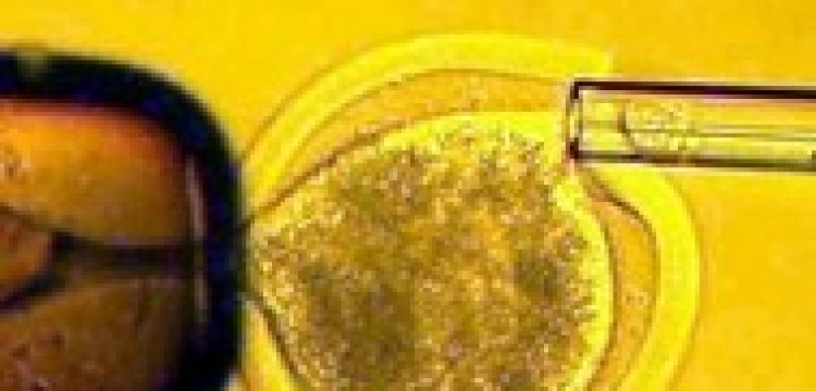 Do czego chce nas zmusić posłanka Kozłowska-Rajewicz