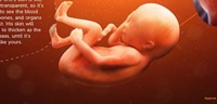 Dziecko w łonie matki... i na ekranie iPada