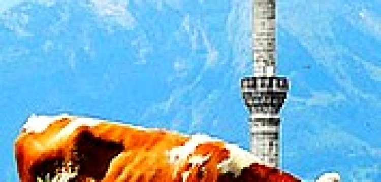 Episkopat Szwajcarii broni minaretów