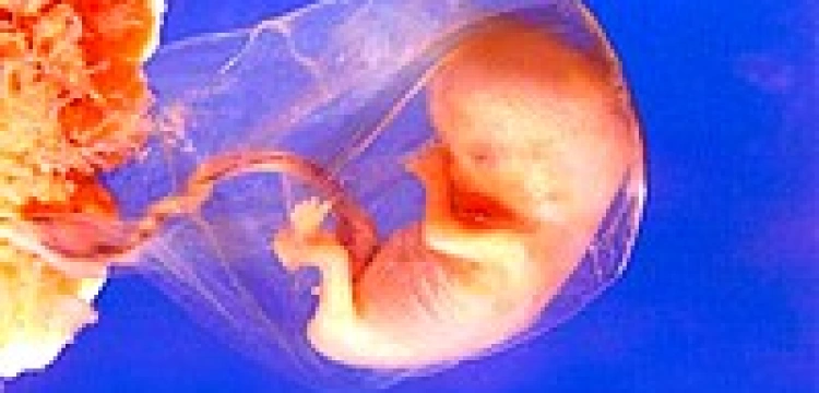 Piosenka o traumie po aborcji hitem w USA