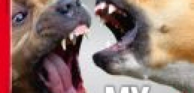 Bóg jest większy – czyli przegląd tygodników