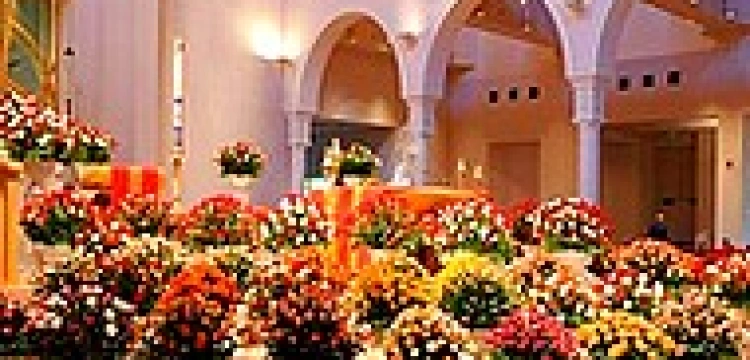 Bazylika mniejsza dzięki Myszce Miki