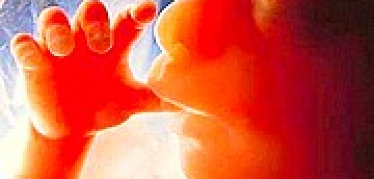 „Aborcja, to jest przerwanie niepowtarzalnego życia człowieka”