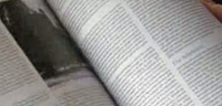 Poznań się chwali... nazistami