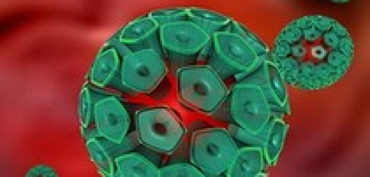 Seks oralny śmiertelnie niebezpieczny