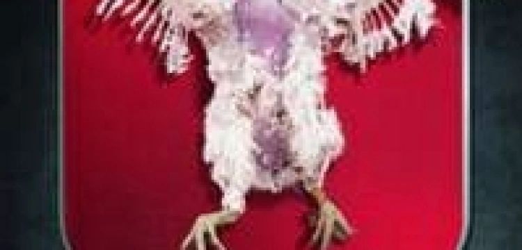 Lewicowa organizacja broni praw kur