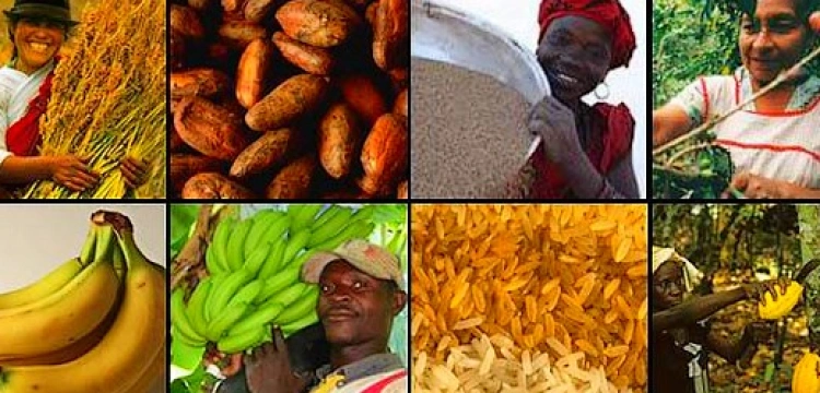 Fair Trade - handel sprawiedliwy?