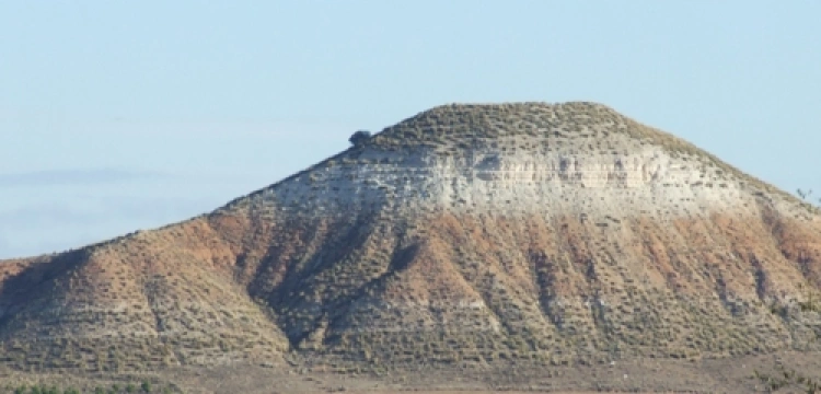 Obrona natury, obrona człowieka