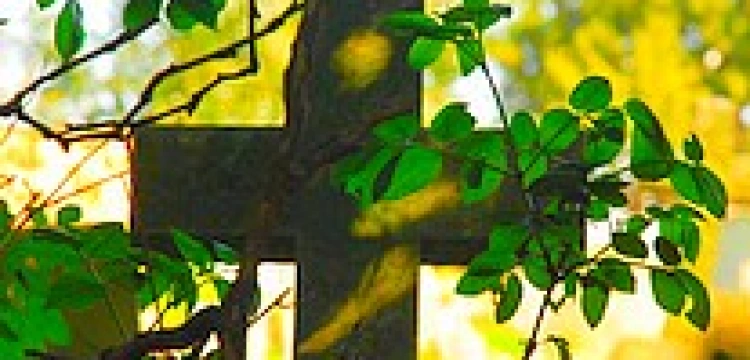 Komisja ma czas do końca stycznia