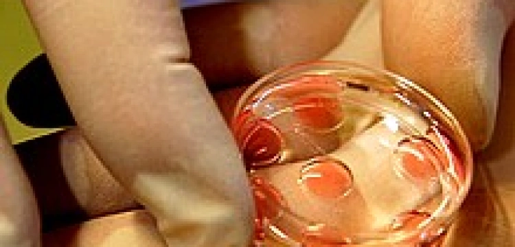 Księża będą się uczyć o in vitro i naprotechnologii