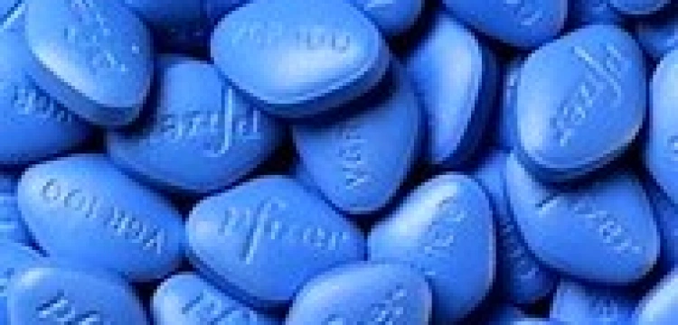 Udane życie seksualne europosłów za nasze pieniądze?