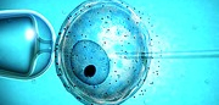 Luteranie akceptują in vitro w myśl "ewangelicznej etyki"