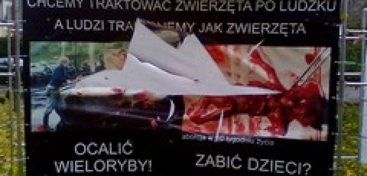 Kolejna niewygodna wystawa