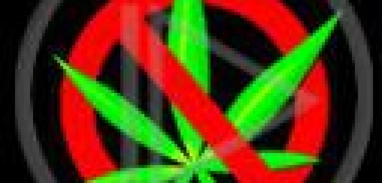 Kto pali trawę w rządzie Tuska?