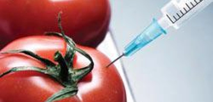 Kto zaprasza do Polski GMO?