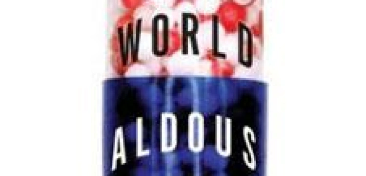 Adamski:  Sauna dla bin Ladena i Eichmanna