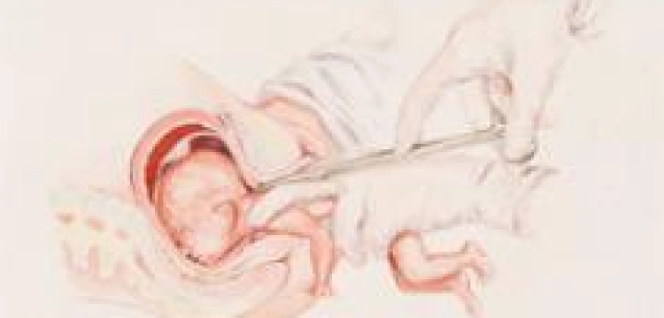 Koniec barbarzyństwa w Michigan