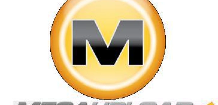 Grozi mu 20 lat więzienia za piractwo internetowe