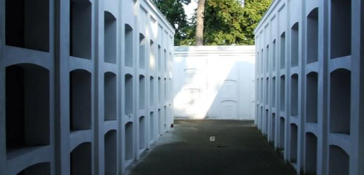 Terlikowski: Piękno, które zostanie