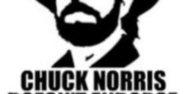 Chuck Norris wchodzi do gry