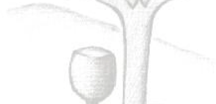 Ruszyła Ewangelizacja Warszawy