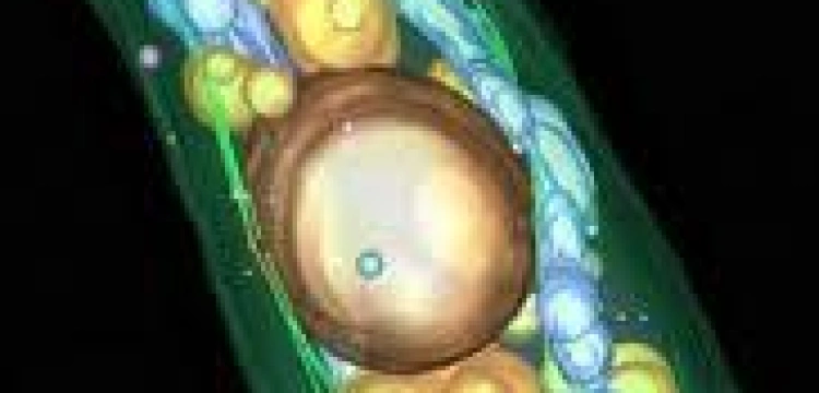 Syntetyczna biologia może być śmiertelnie niebezpieczna