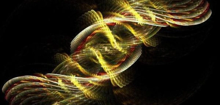 Terlikowski: Wyjście 2