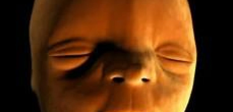 Zobacz jak kształtuje się twarz dziecka w brzuchu mamy!