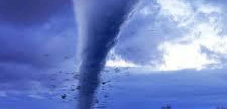 Poczucie humoru według TVP