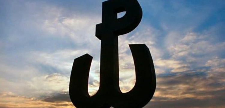 Rzecznik żołnierzy Armii Krajowej: Przez swoje zachowanie środowiska narodowo-radykalne straciły w oczach kombatantów