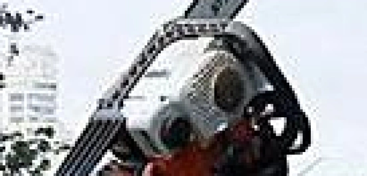 Feministki z Femen mogą stworzyć zgrany duet z Palikotem. Żenada gwarantowana