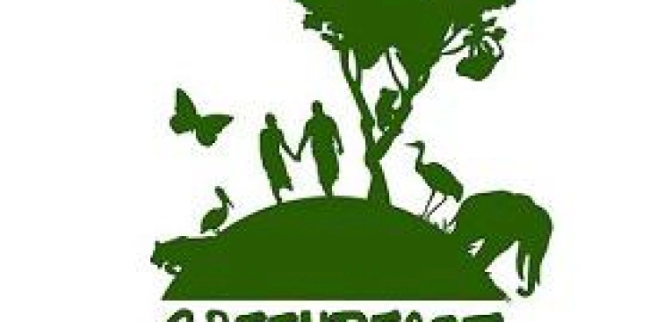 Lewacy z Greenpeace zaatakowali obrońców życia!