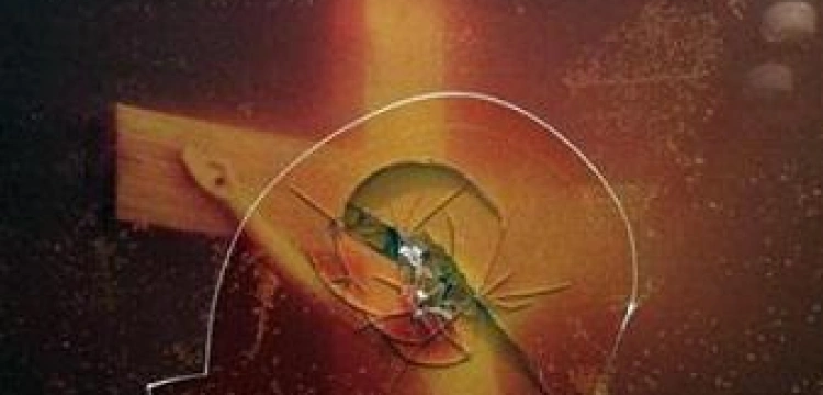 Nowy skandal ze starym moczem