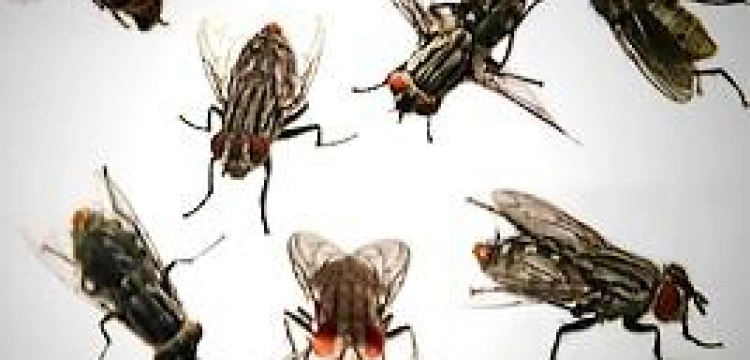 "Padły jak muchy dwa mity dotyczące PiS"