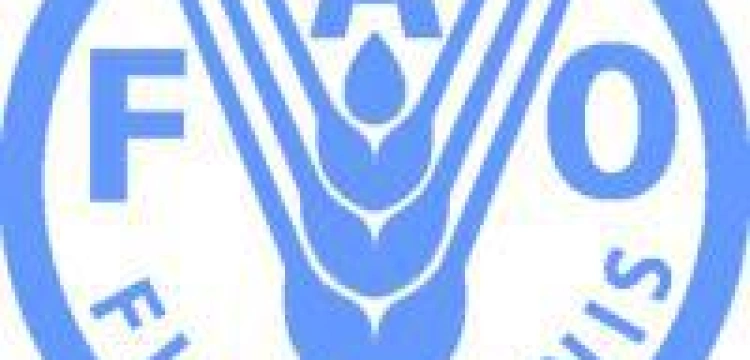 Papież o zaletach kooperatyw rolniczych w Europie i na świecie