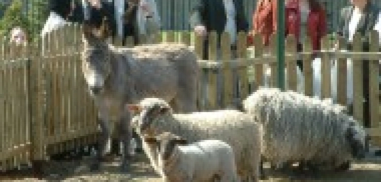 Dzień św. Franciszka i Lasu Bielańskiego 06.10.2013