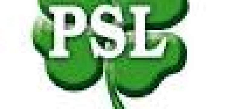 Hołd gminny - oto tajemnica wyniku PSL