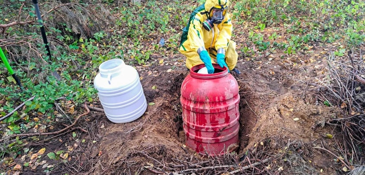 Cela plus: Ogromne ilości narkotyków w lesie. Mężczyzna wpadł, gdy poszedł je zabrać