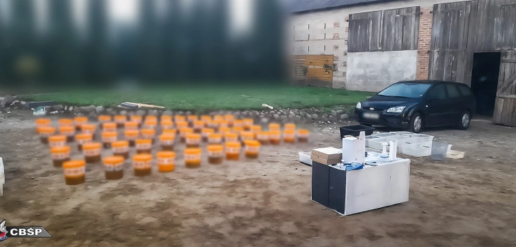Cela plus: Narkotykowe laboratorium w stodole. 3 mężczyzn w rękach policji