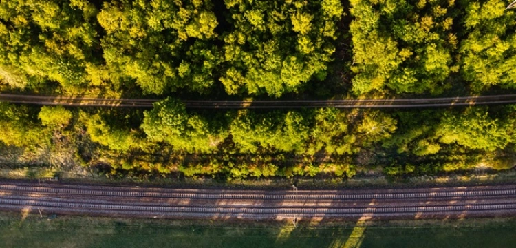 TOP 5 tras kolejowych w Polsce, które zachwycą każde dziecko (i rodzica!) [Materiał promocyjny]