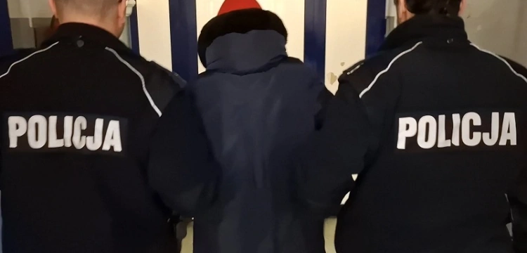 Siniaki na twarzy półtorarocznego dziecka. Matka i konkubent w rękach policji