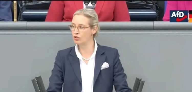 Sondaż: AfD wygrywa w Niemczech. Fatalny wynik CDU/CSU