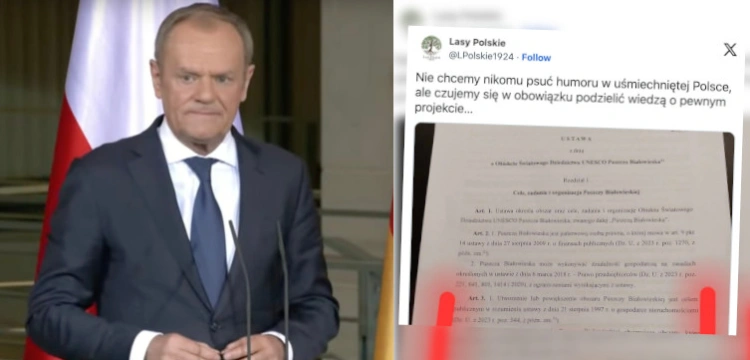 Rząd Tuska planuje wywłaszczenia? Szokujący dokument ws. Puszczy Białowieskiej