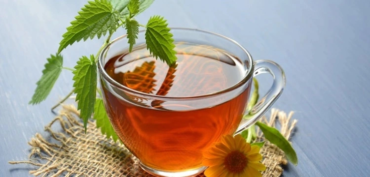 Ks. Kneipp zaleca: Pokrzywa leczy i odmładza